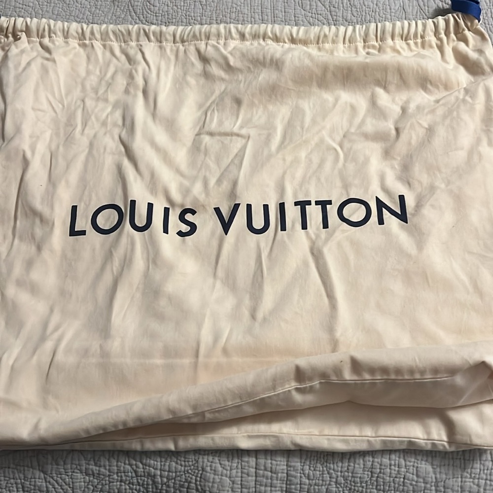 Louis Vuitton Palm Springs MM backpack - Picture 4 of 9